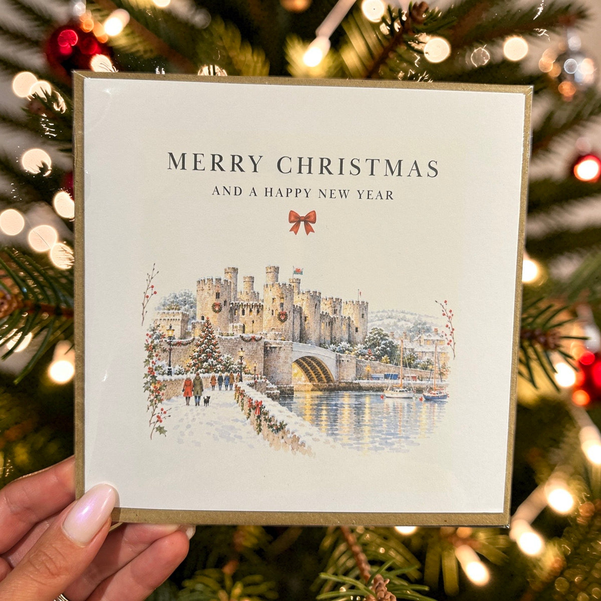 5 PACK NORTH WALES AND CHESTER CHRISTMAS CARDS