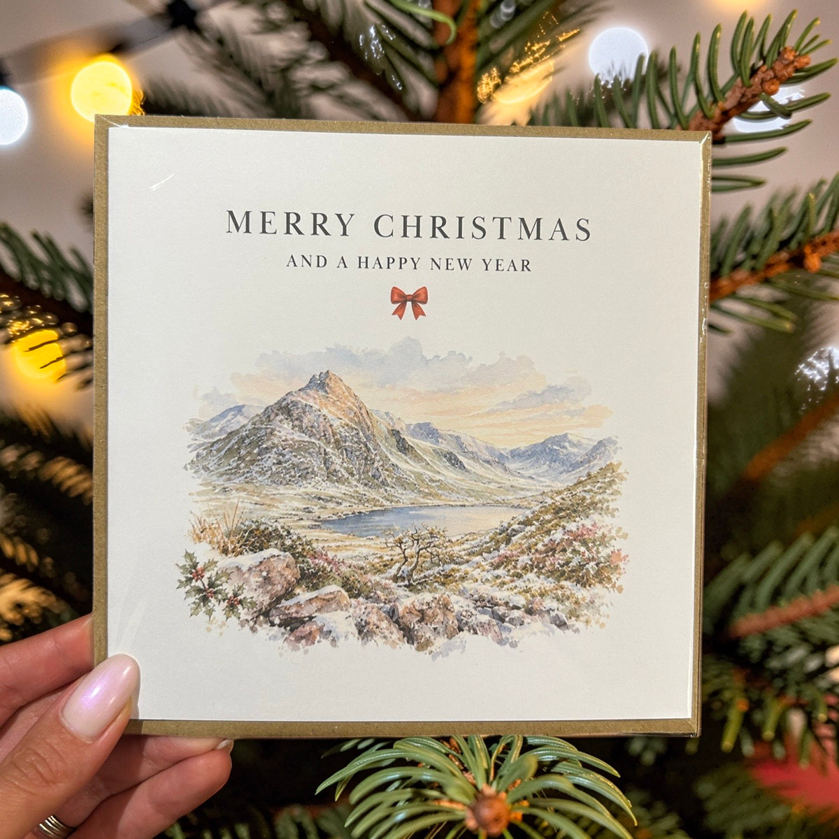 5 PACK NORTH WALES AND CHESTER CHRISTMAS CARDS